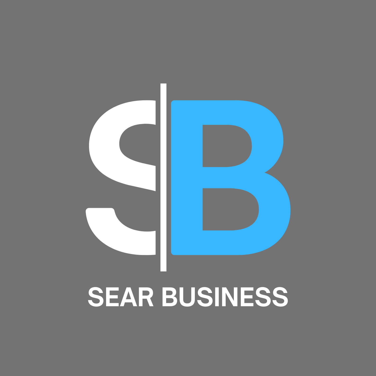 A logo with a medium grey background, white and bright blue font initials and the name Sear Business in white. It's the logo for a business located in Raymond Terrace NSW, that assists small to medium businesses with HR, sales and admin support.